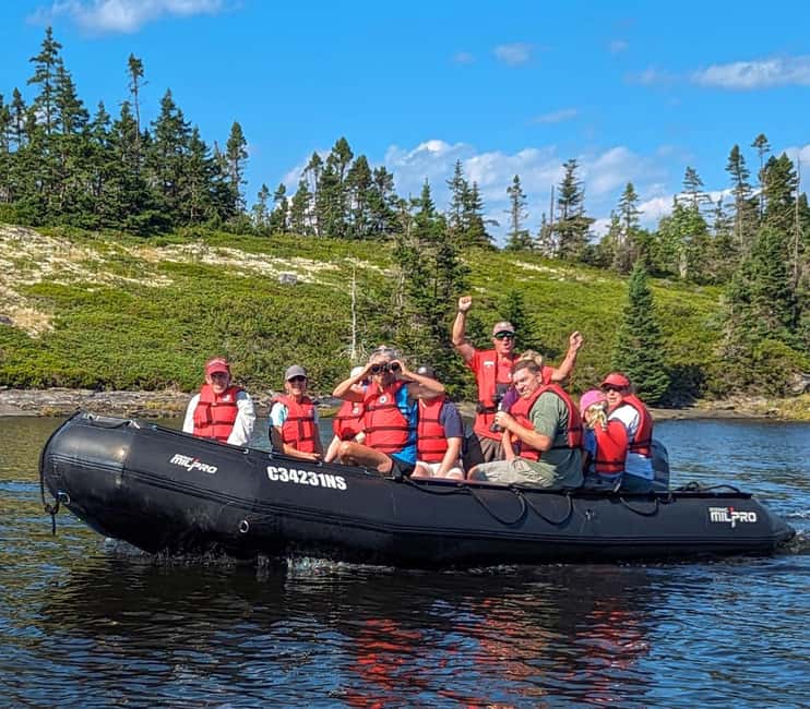 Lunenburg: Zodiac Wildlife Tour with Naturalist Guide - The 2-hour rhythm: check-in, scanning, cruising, and back to shore