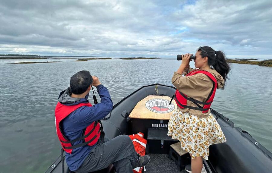 Lunenburg: Zodiac Wildlife Tour with Naturalist Guide - Price and value: where the $101 really goes