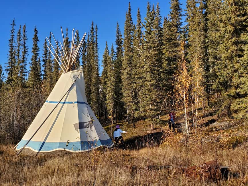 Madeline Lake: Aurora Lodge and Aurora Chasing Tour - Key Things I’d Prioritize Before Booking