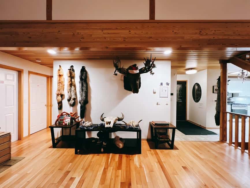 Madeline Lake: Aurora Lodge and Aurora Chasing Tour - Who This Tour Fits Best, and Who Should Rethink It