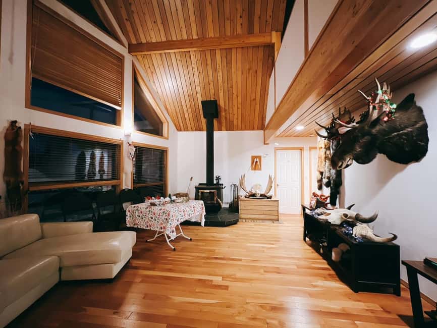 Madeline Lake: Aurora Lodge and Aurora Chasing Tour - Professional Aurora Photos: Why You Might Want to Skip Your Standalone Setup