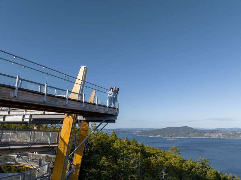 Malahat SkyWalk Ticket - SkyWalk Quick Hits