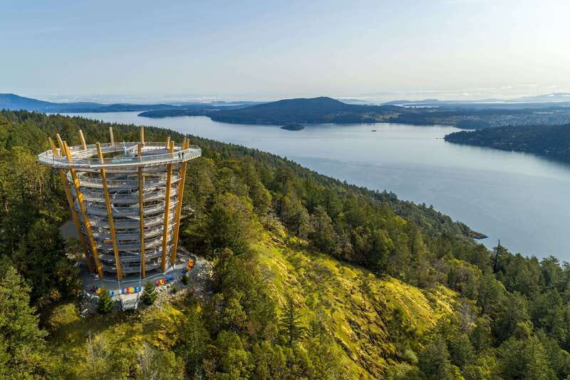 Malahat SkyWalk Ticket - The TreeWalk Climb: Nature First, Thrill Later