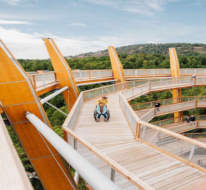Malahat SkyWalk Ticket - Price and Value at $32: What You Get for Your Money