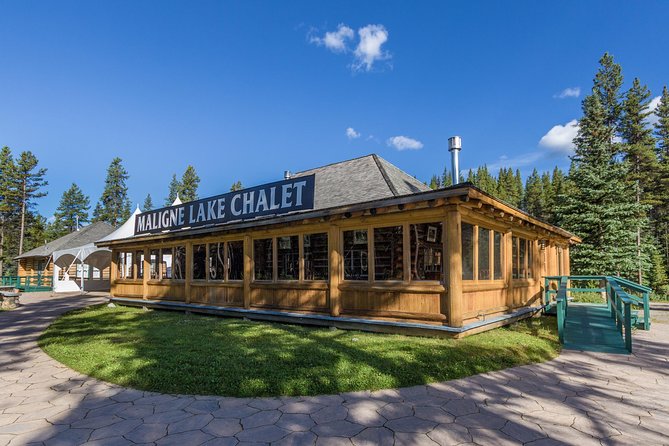 Maligne Lake Cruise - Wildlife spotting on Maligne Lake: real chances, not a guarantee