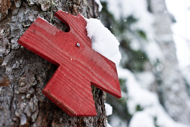 Medicine Trail Snowshoe Tour - How the 3-Hour Tour Flows in Real Life