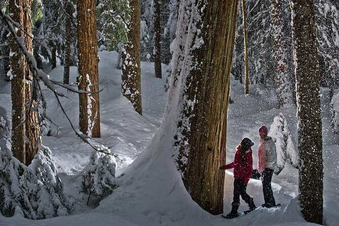 Medicine Trail Snowshoe Tour - FAQ