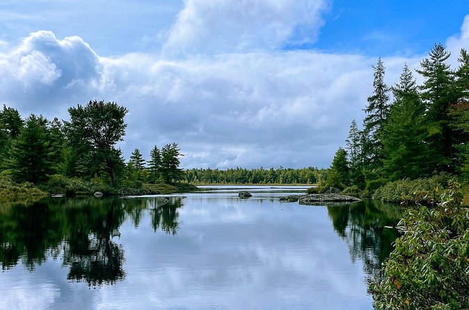 Medway Lakes Canoe Trip 3-Day - Wildlife and night skies: what you might actually spot