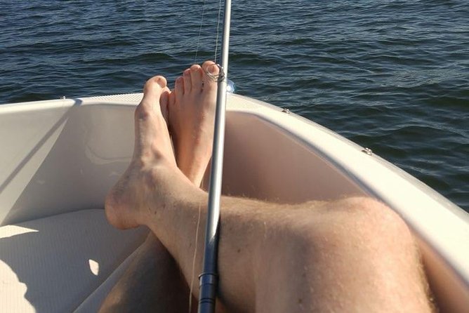 Meet The Seals Boat Tour - Travel by boat to a Secret Seal Cove - Captain Chris and local stories: turning spotting into understanding
