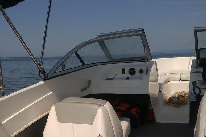 Meet The Seals Boat Tour - Travel by boat to a Secret Seal Cove - Up the harbour toward the seal colony: how the cruise portion is paced