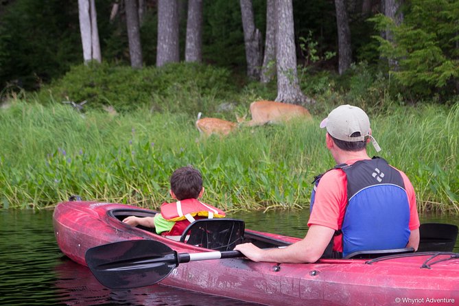 Mersey River Quickie Adventure - 2 Hours - Stop 1 at Kejimkujik: your Mersey River paddle moment