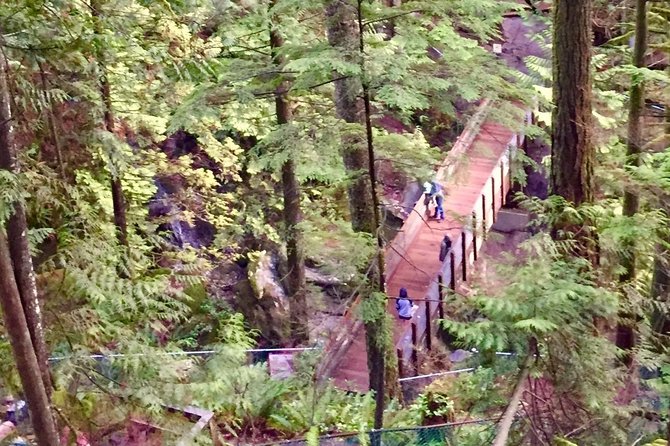 Mesmerizing Nature Walk in Lynn Canyon Park - Who should book this Lynn Canyon Park walk, and who might skip it