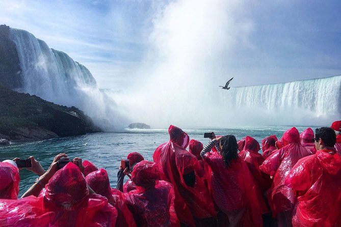 Mississauga: Niagara Falls Day Tour with Boat Cruise - Price and value at about $96.88 per person
