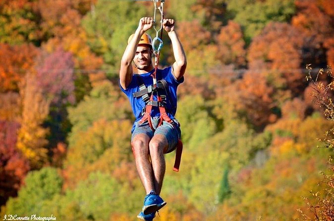 Mont-Catherine Ziplines - The zip line sequence, four major flights with real height