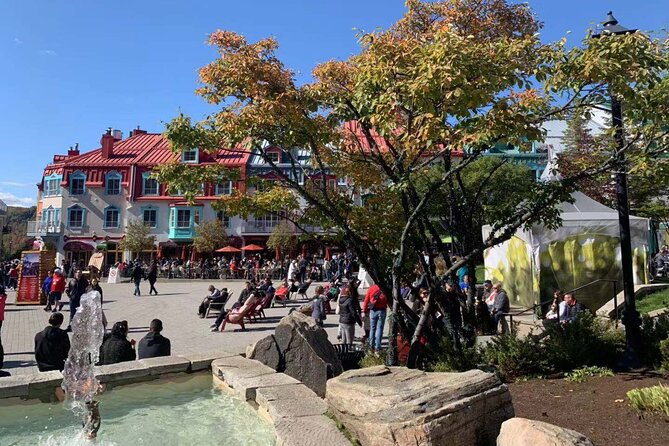 Mont-Tremblant 1 Day Tour - Up to Tremblant Mountain: Cable Car Timing and Ticket Reality