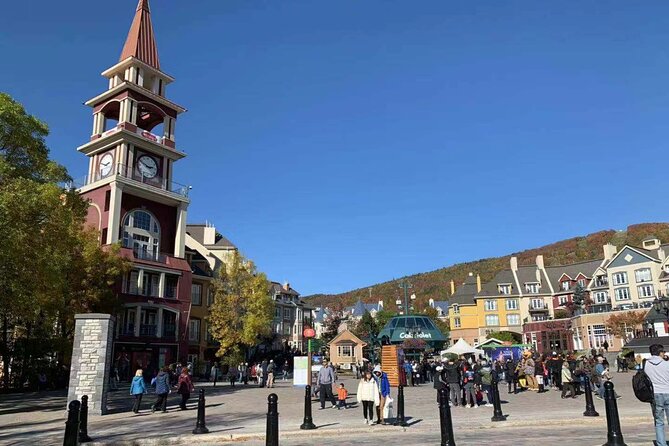 Mont-Tremblant 1 Day Tour - Who This Tour Suits Best