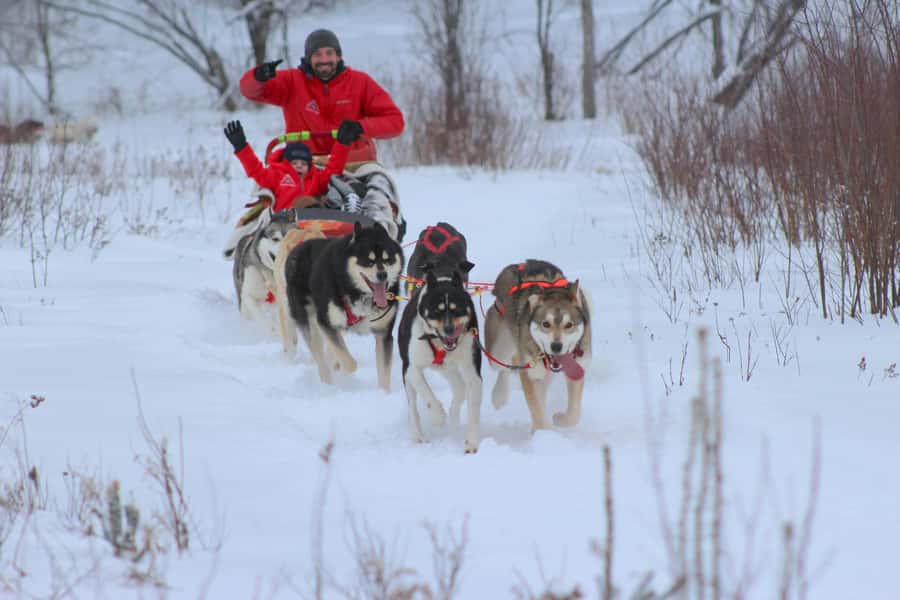 Mont-Tremblant: Dogsledding Valley Adventure - Key Points You’ll Feel During the Ride