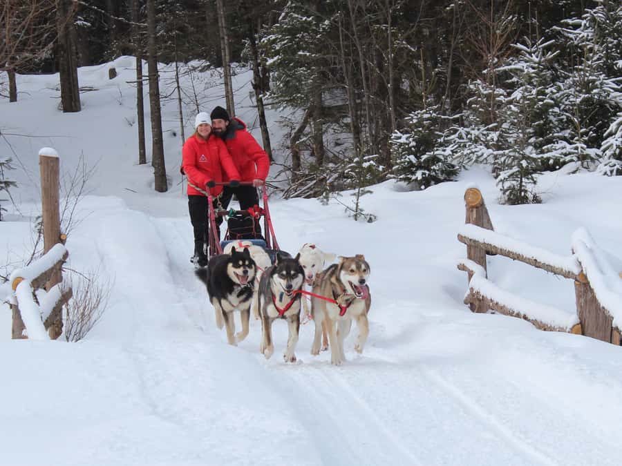 Mont-Tremblant: Dogsledding Valley Adventure - Meet the Pack First, Then Hit the Snow
