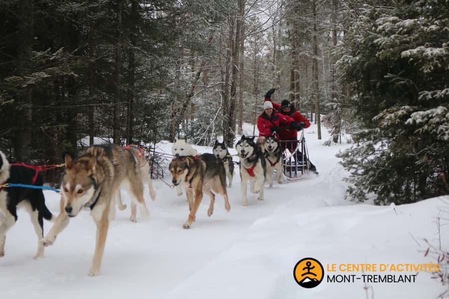 Mont-Tremblant: Dogsledding Valley Adventure - The Shack Break: Fire Warmth, Desserts, and Hot Chocolate