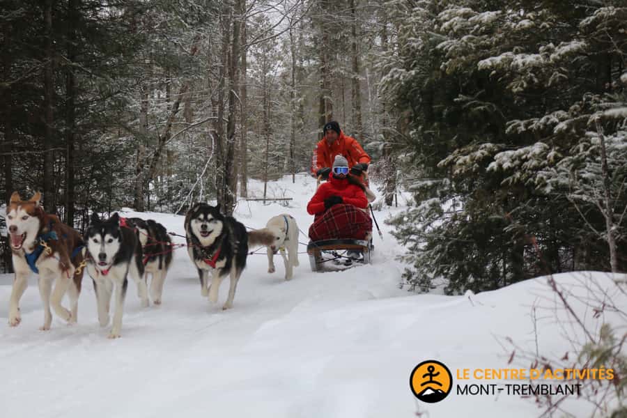 Mont-Tremblant: Dogsledding Valley Adventure - What to Wear, What to Bring, and How to Stay Comfortable