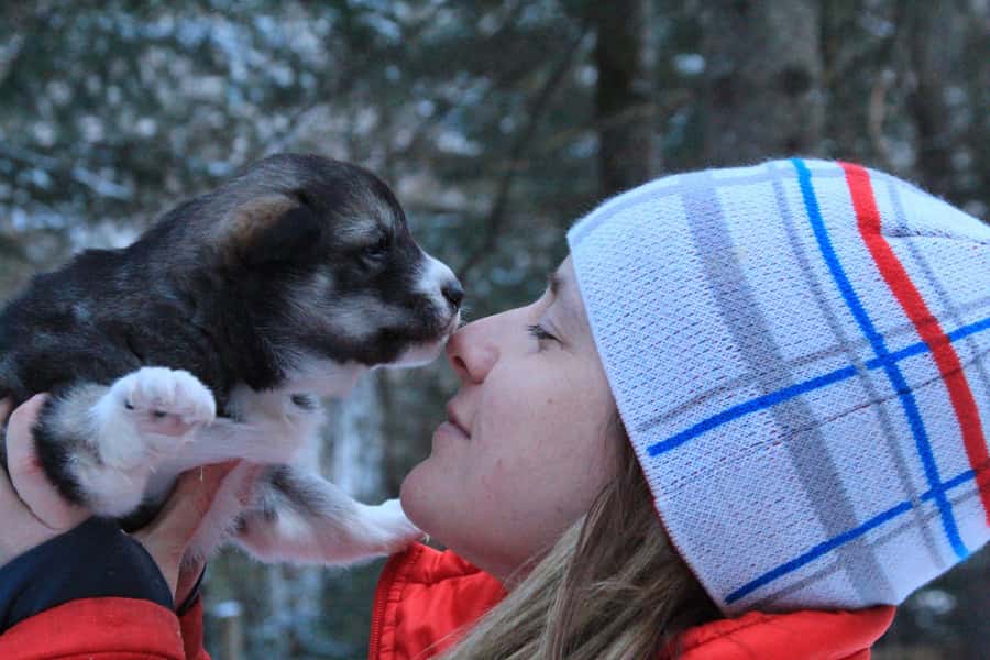 Mont-Tremblant: Dogsledding Valley Adventure - Should You Book the Tremblant Dogsledding Valley Adventure?