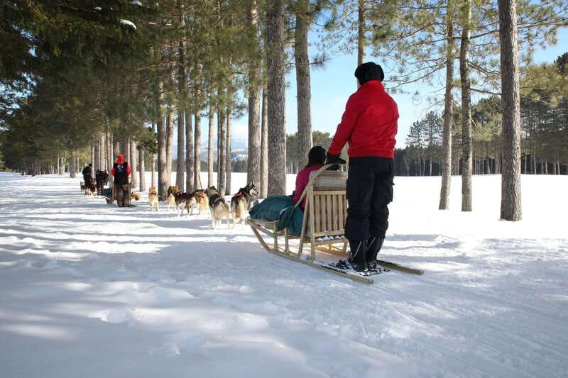Mont-Tremblant: Guided Dogsledding Tour with Hot Chocolate - Quick hits before you go