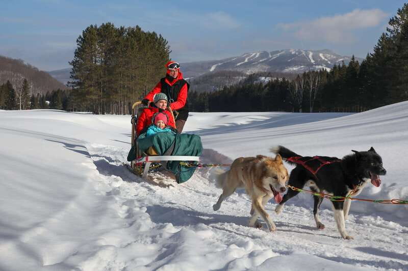 Mont-Tremblant: Guided Dogsledding Tour with Hot Chocolate - Who will drive, who will ride, and how seat switching works