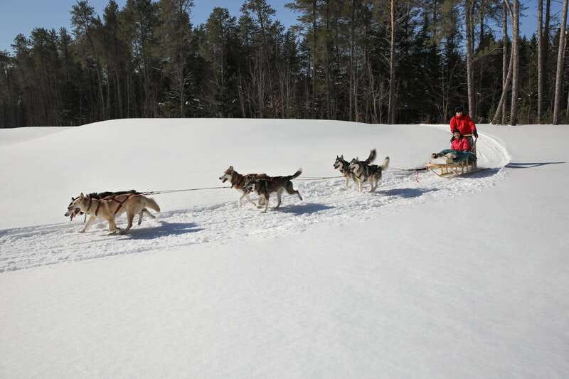 Mont-Tremblant: Guided Dogsledding Tour with Hot Chocolate - Kennel time: treats, brushing, and puppy moments