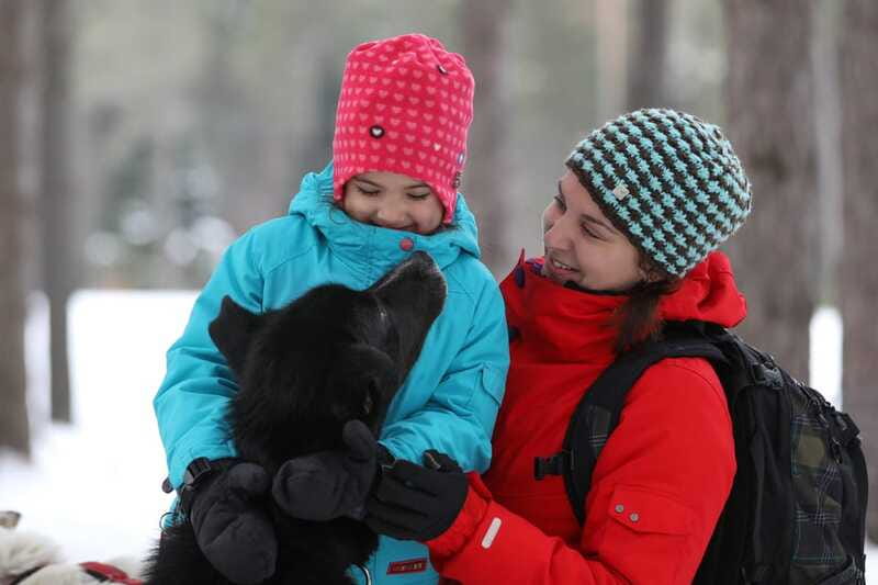 Mont-Tremblant: Guided Dogsledding Tour with Hot Chocolate - What to pack for cold, wind, and driving