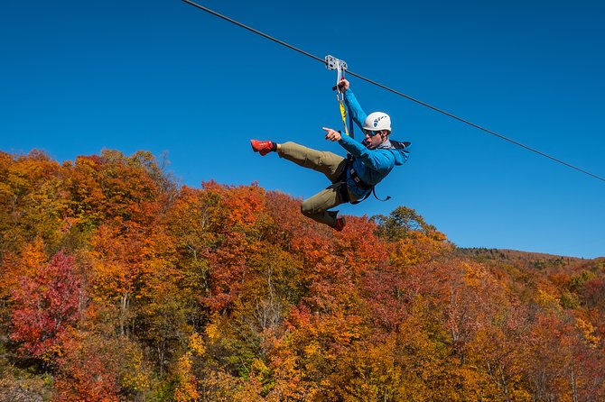 Mont Tremblant Guided Zipline Tour - Price and value: what you really pay for at $142.58