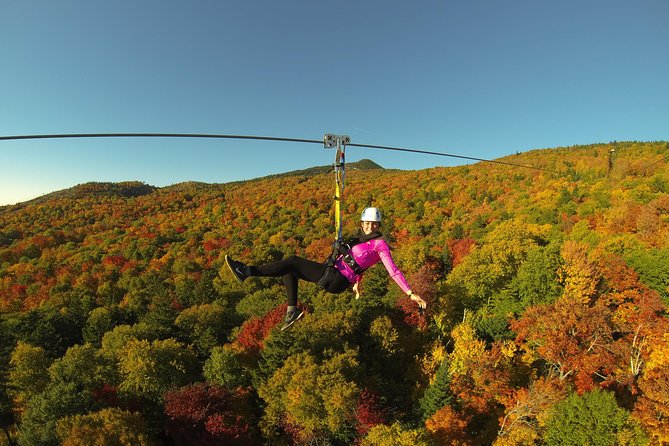 Mont Tremblant Guided Zipline Tour - Gondola to the summit: a smoother start than you expect