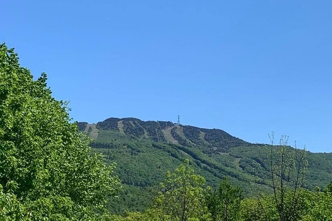 Mont Tremblant Private Day Tour from Montreal - Season-by-season fun you can fit in, from gondola rides to lake cruises