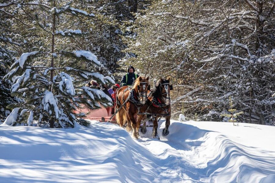Mont-Tremblant: Sleigh Ride w/ Storytelling & Hot Chocolate - A 1-hour sleigh ride that feels like winter theater