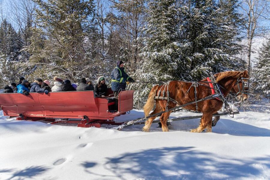 Mont-Tremblant: Sleigh Ride w/ Storytelling & Hot Chocolate - On skis in snow, on wheels when conditions are thin