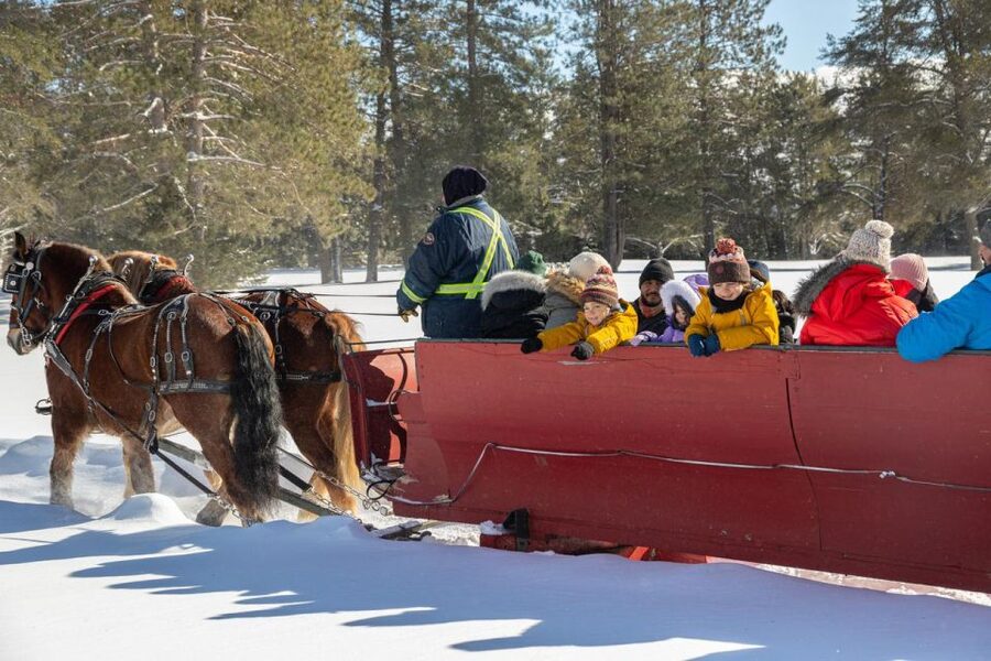 Mont-Tremblant: Sleigh Ride w/ Storytelling & Hot Chocolate - Hot chocolate and blanket time, built in