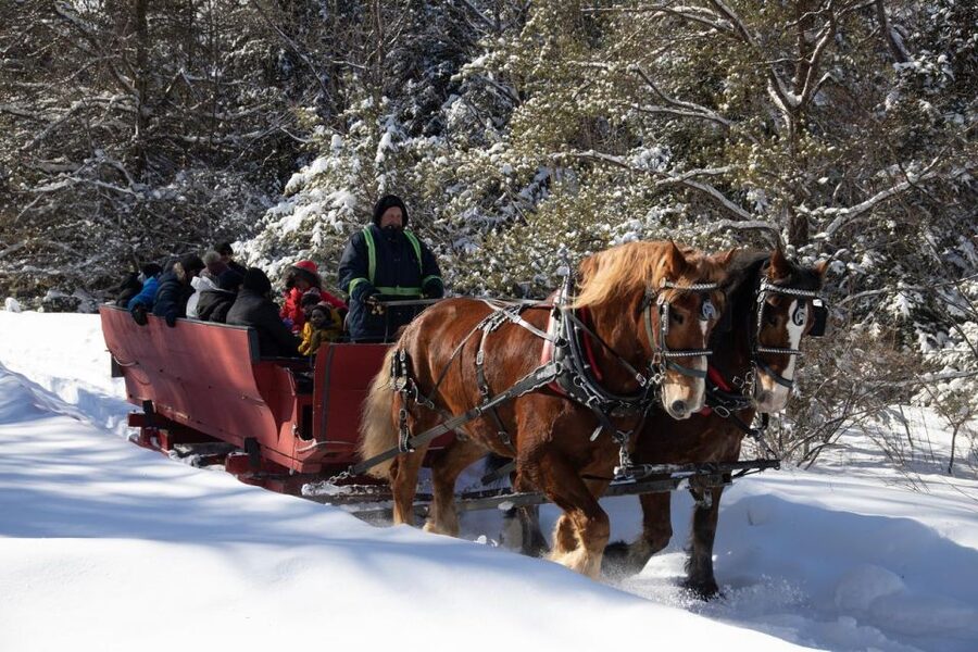 Mont-Tremblant: Sleigh Ride w/ Storytelling & Hot Chocolate - Where you meet: Chemin Champagne and a small white shack