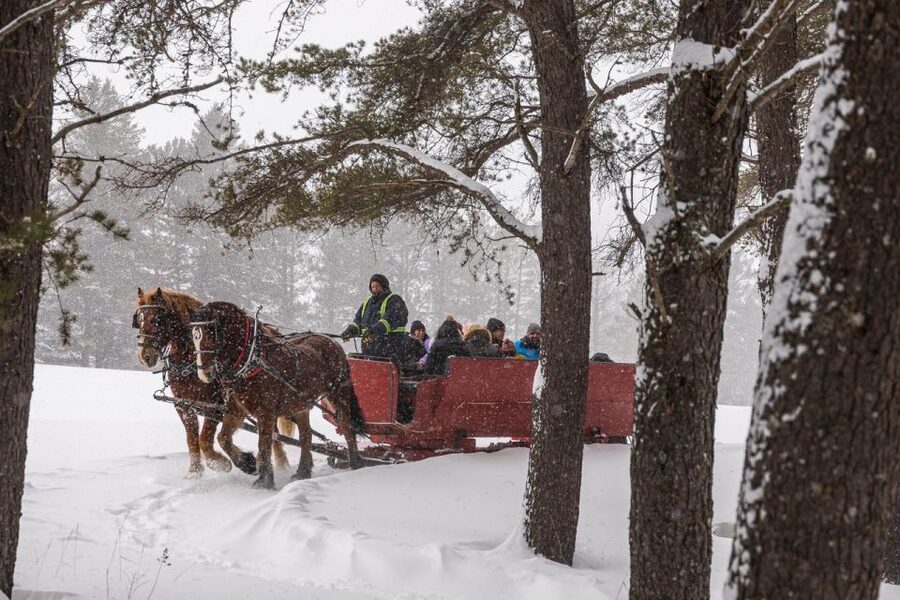 Mont-Tremblant: Sleigh Ride w/ Storytelling & Hot Chocolate - Price and value: why $44 can feel fair