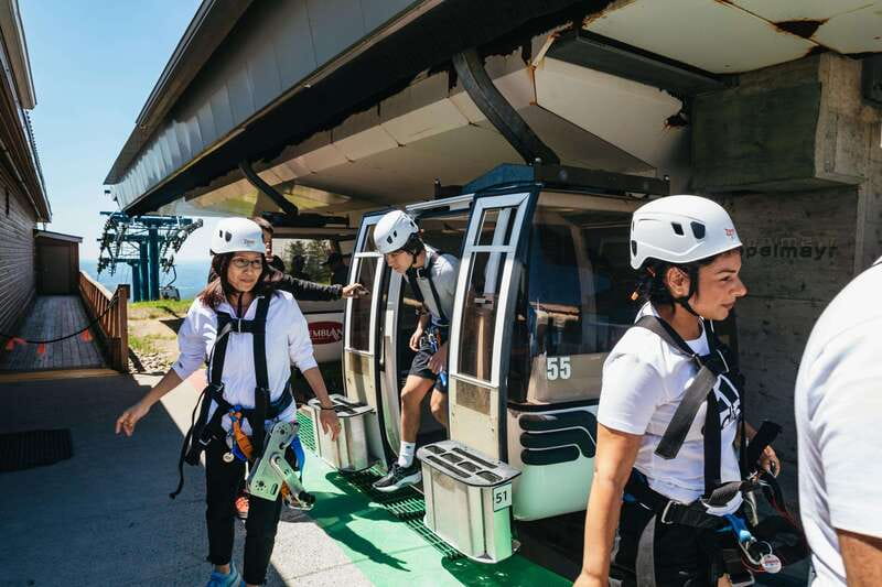 Mont Tremblant: Summit Zip-Lining Tour with 5 Zip Lines - Price and Value for a 3-Hour Aerial Adventure