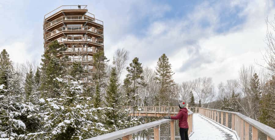 Mont-Tremblant: Treetop Observatory and Self-Guided Walk - Views over the Laurentians and Mont-Tremblant area