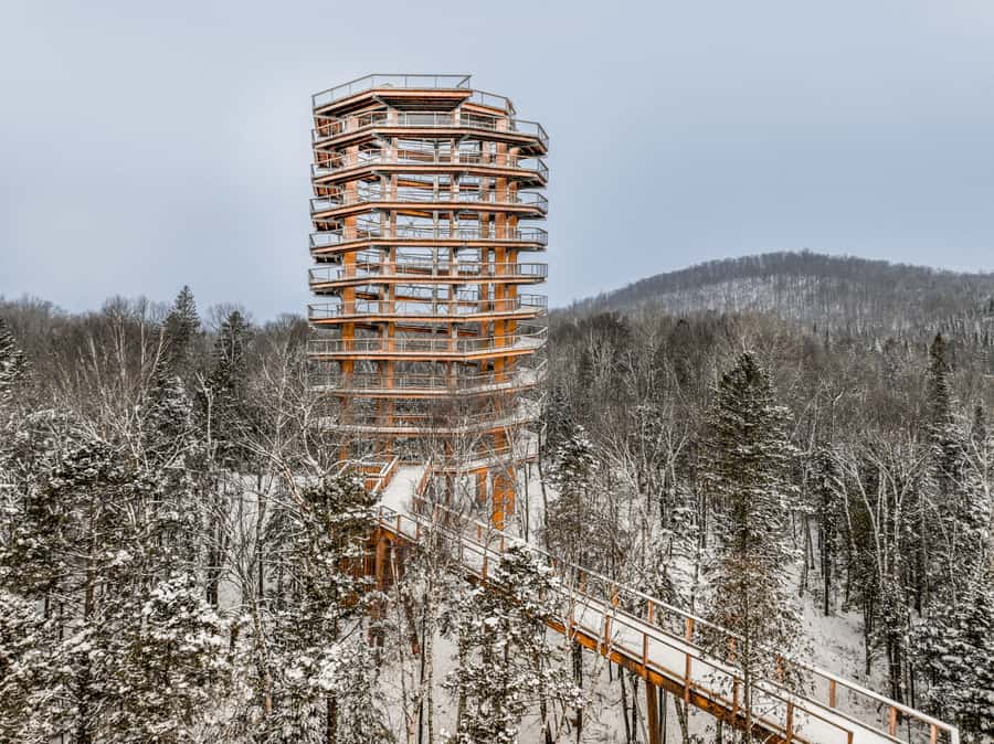 Mont-Tremblant: Treetop Observatory and Self-Guided Walk - Setting the scene: the former fish hatchery and site vibe