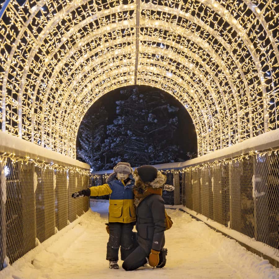 Mont-Tremblant: Treetop Observatory and Self-Guided Walk - The route: what happens from reception to the tower