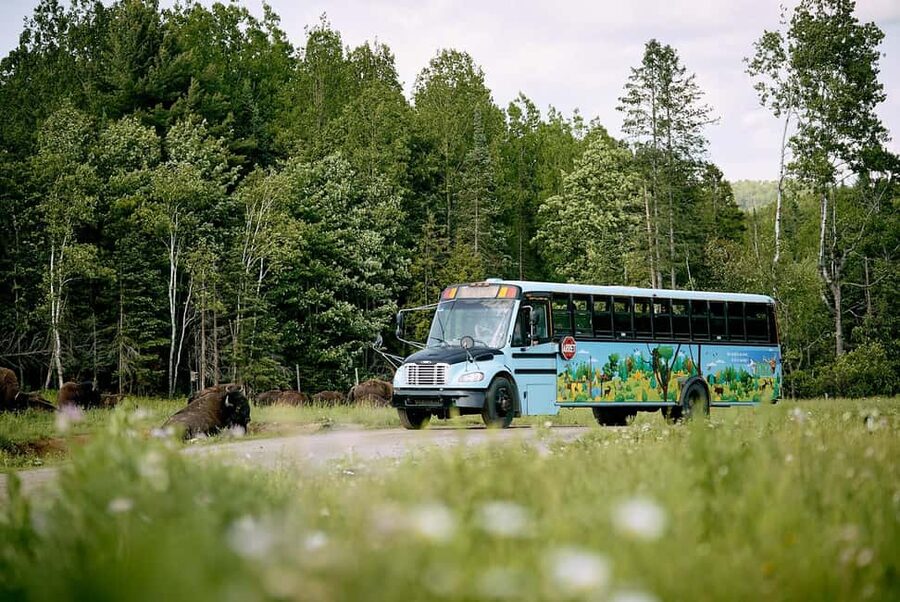 Montebello, QC: Morning VIP Tour at Parc Oméga - The 7:30 or 8:30 Departure: Logistics That Matter More Than You Think