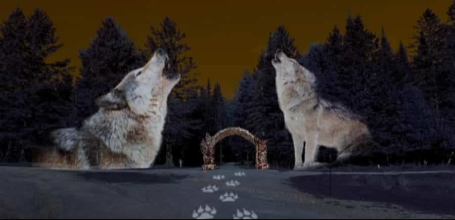 Montebello, QC: Omega Park ONIRO Immersive Experience at Night - Spotlight Moments: Dark Side of Toronto and Casa Loma Memory