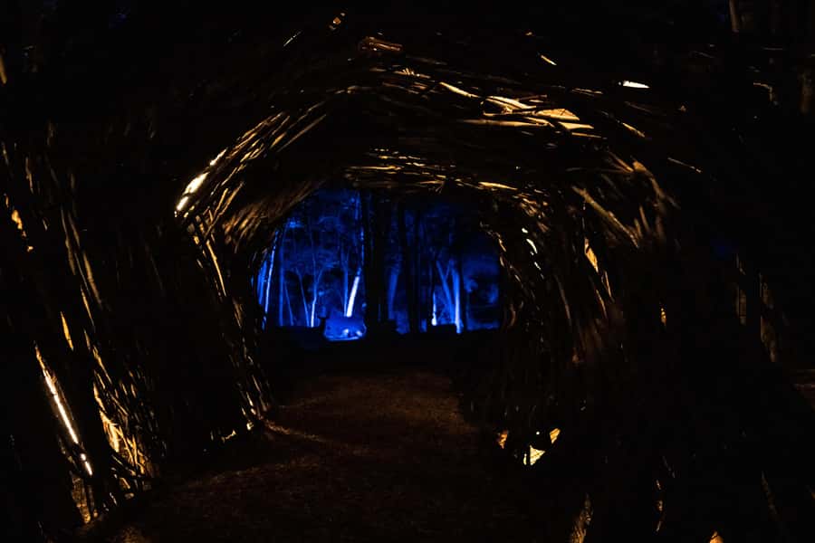Montebello, QC: Omega Park ONIRO Immersive Experience at Night - Is $24 Good Value for the Outaouais Night Experience?
