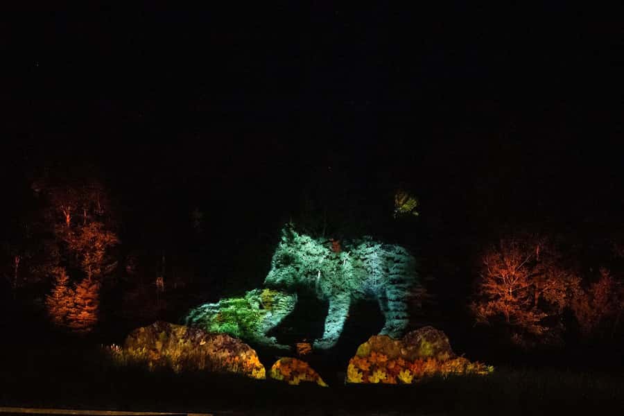 Montebello, QC: Omega Park ONIRO Immersive Experience at Night - Should You Book Oniro in Montebello?