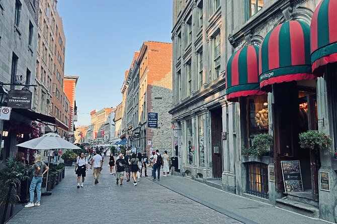 Montreal: 3-Hour Private Car Tour with Expert & Free Pick up - A private ride that starts at your hotel