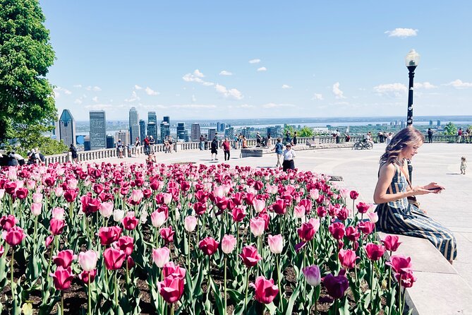 Montreal: 3-Hour Private Car Tour with Expert & Free Pick up - Old Port and the Saint Lawrence edge: orientation you can use