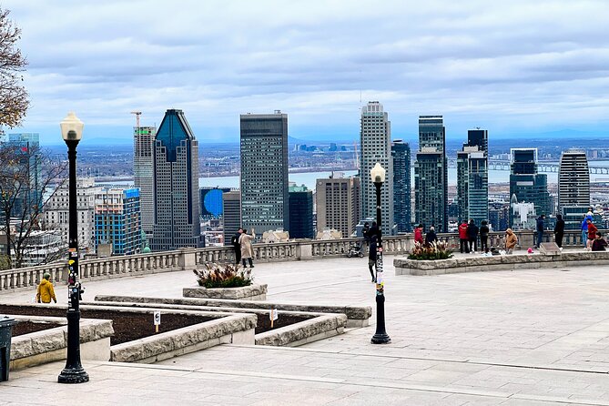 Montreal: 3-Hour Private Car Tour with Expert & Free Pick up - McGill and the Museum of Fine Arts from the road