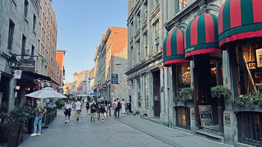 Montreal 3-Hour Private Car Tour with Expert Local Guide - Jean Drapeau Park and the island perspective