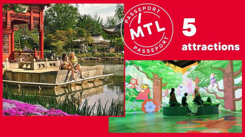 Montreal: 5 Attractions Pass - How the Pink and Blue Collections Shape Your Plan
